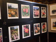 0923バラ写真展