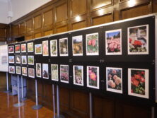 0923大通公園バラ写真展