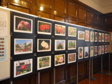 0923大通公園バラ写真展