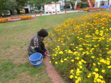 0929花壇ボランティア