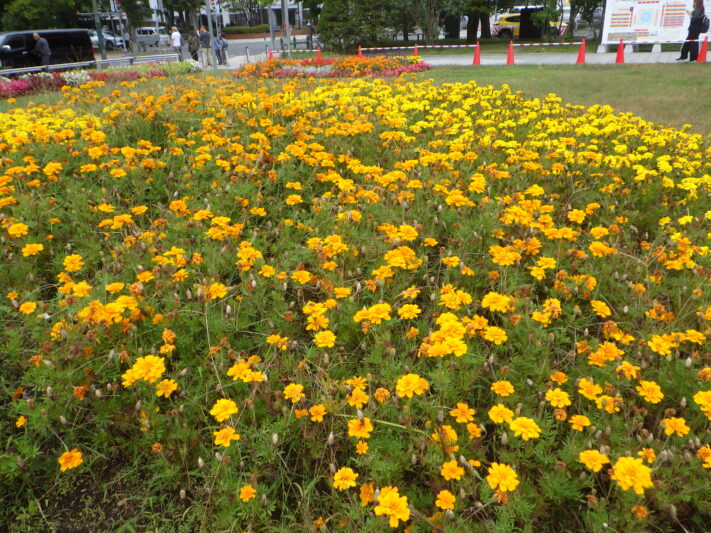 0929西5丁目円花壇