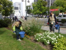 0929花壇ボランティア