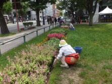 0929花壇ボランティア