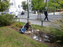 1006花壇ボランティア