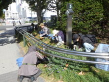 1006花壇ボランティア