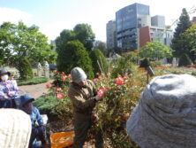 1015冬囲い講習会