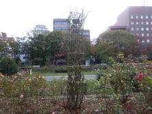 1017結束後