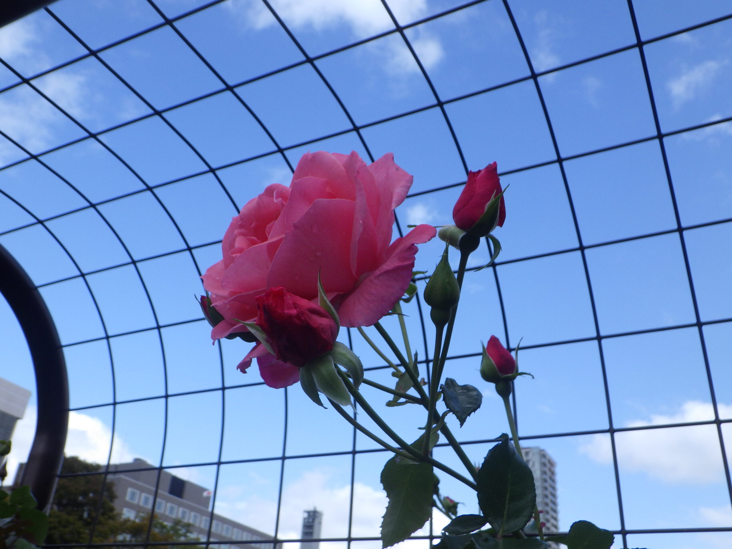 20251017園内の様子