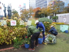 1027花壇ボランティア