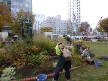 1027花壇ボランティア