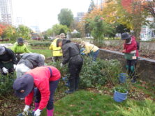 1029バラボランティア