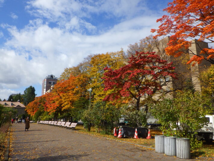 1029西12丁目紅葉