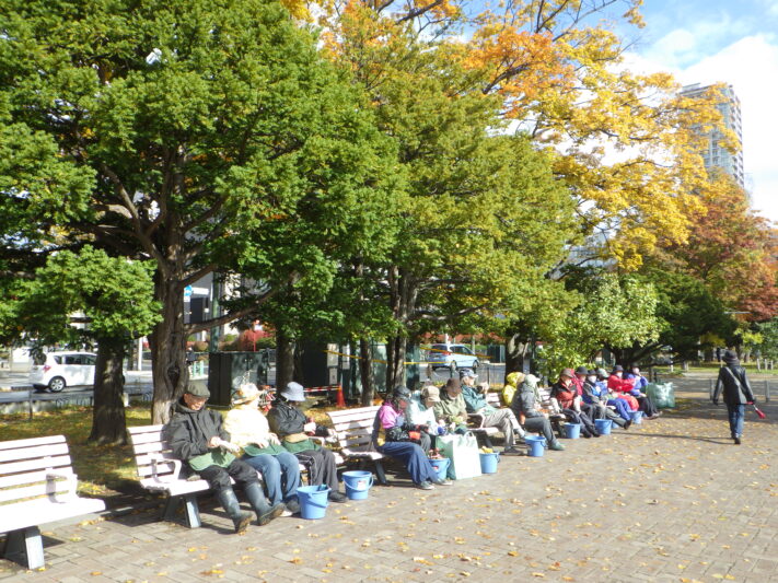 1029バラボランティア