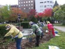 1029バラボランティア