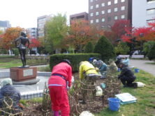 1029バラボランティア