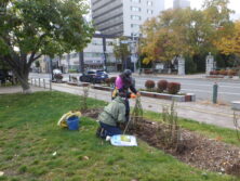 1029バラボランティア