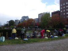 1029バラボランティア