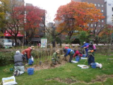 1031西12丁目冬囲い