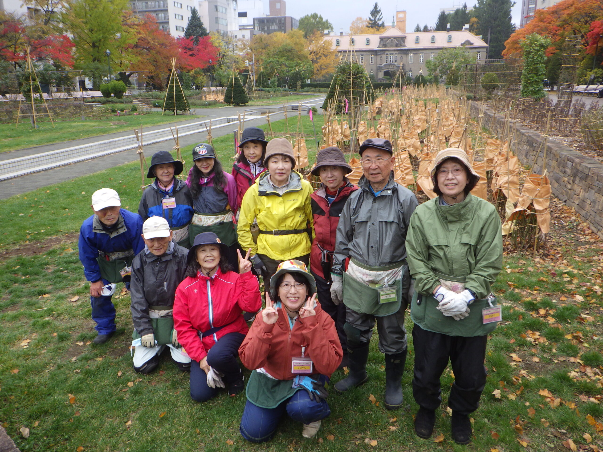 バラボランティア