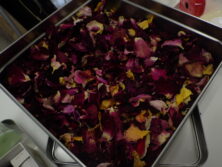 1203バラのポプリ