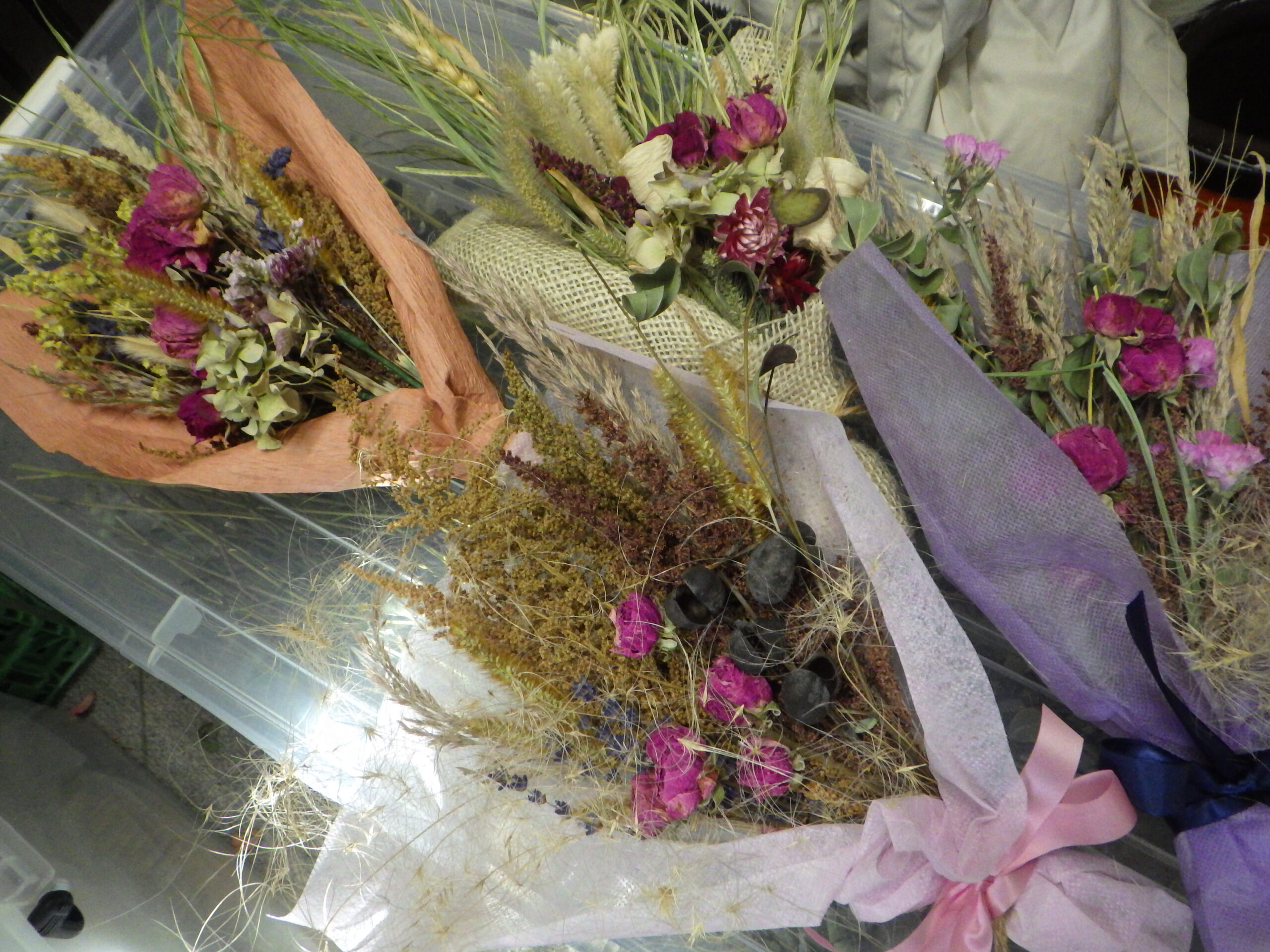 0225バラボランティア