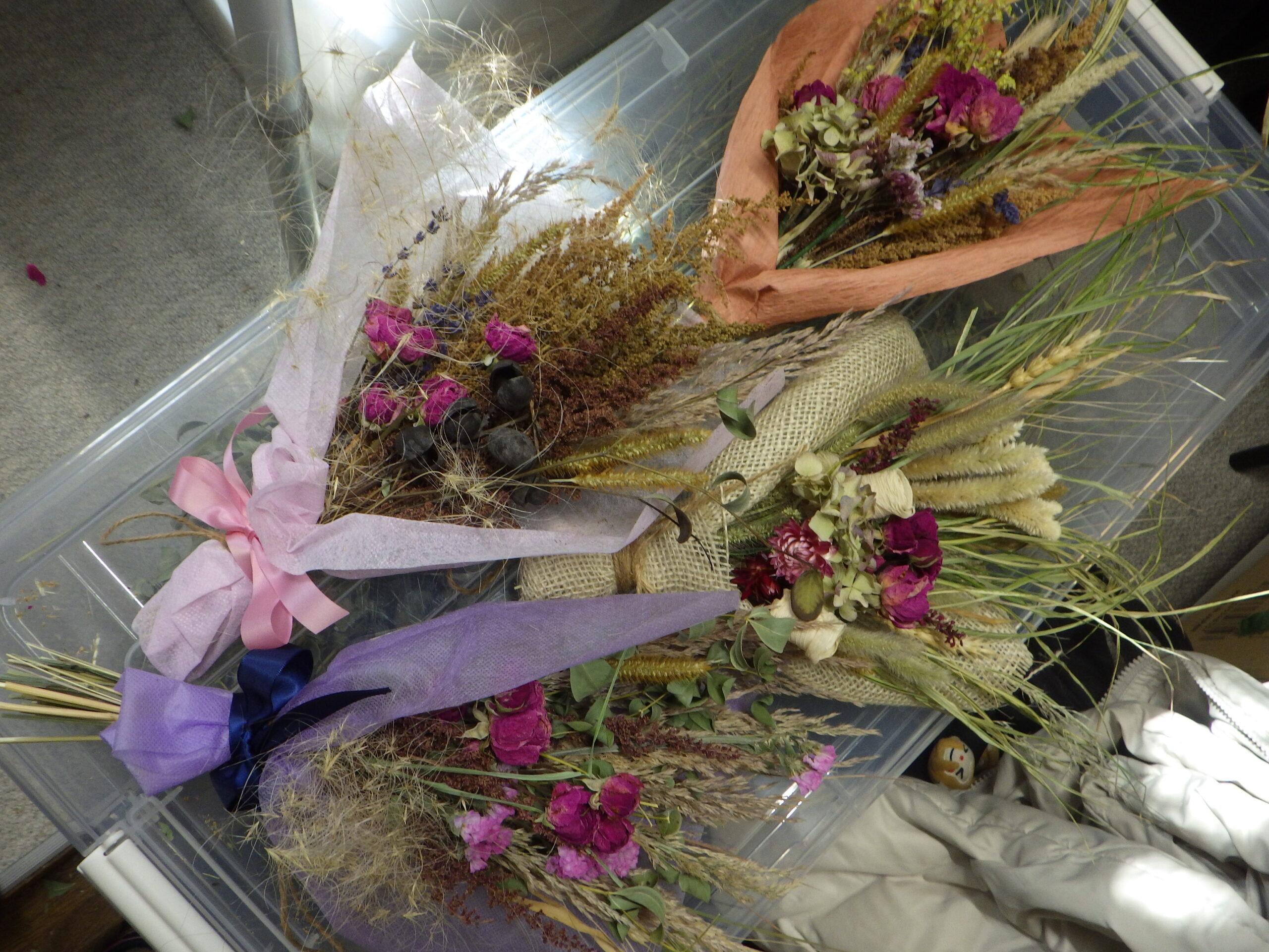 0225バラボランティア