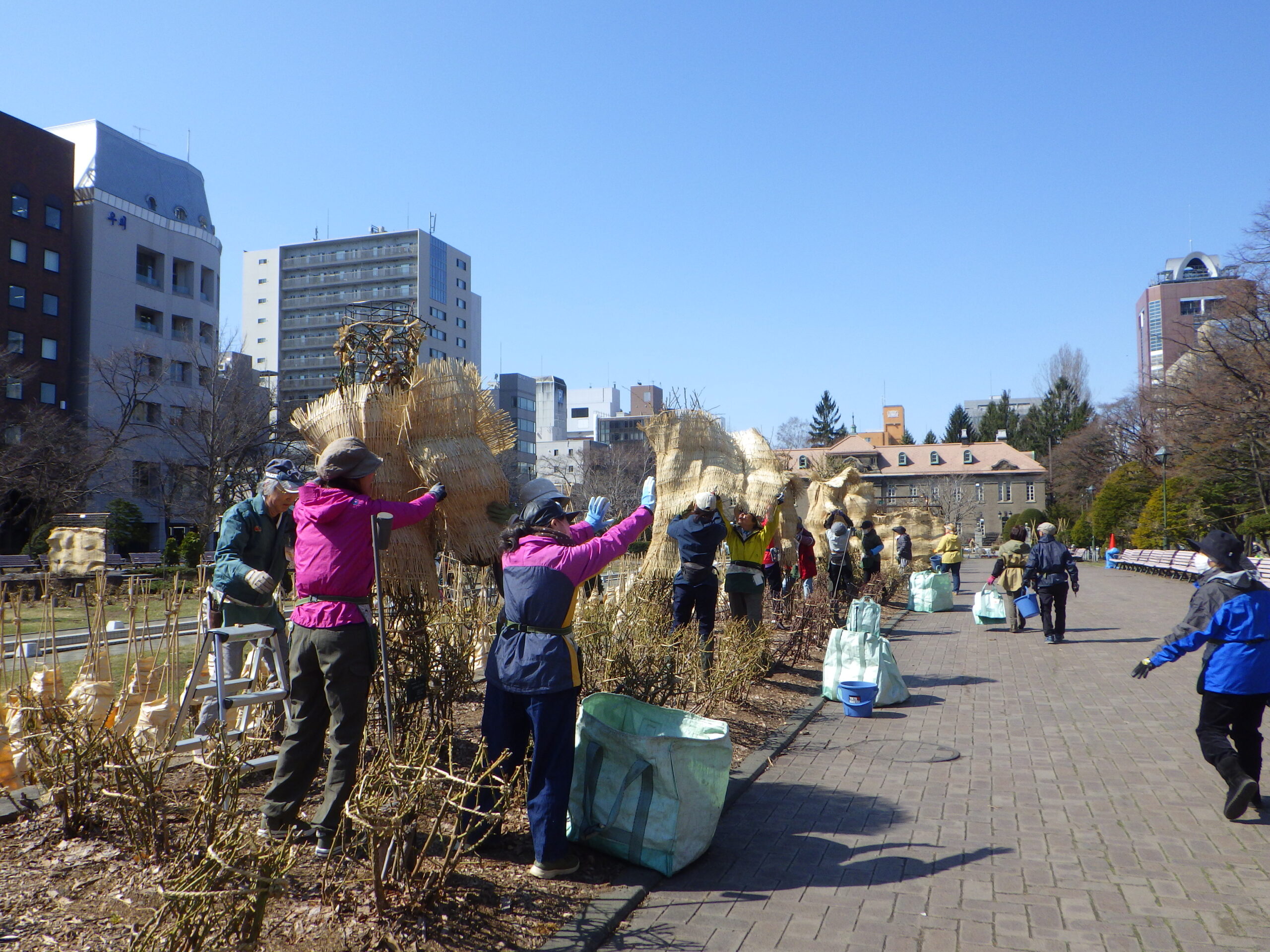 0401バラボランティア