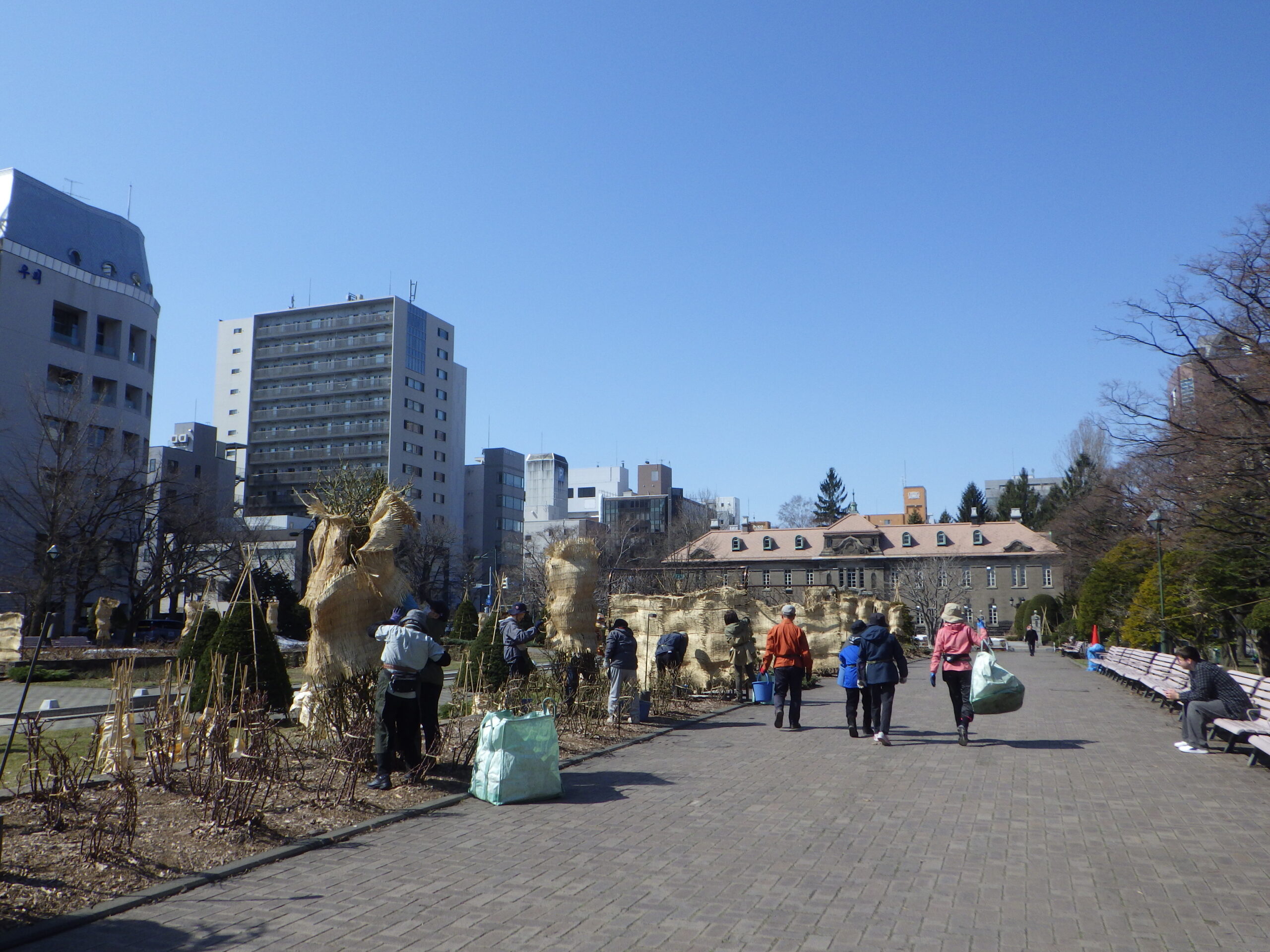 0401バラボランティア