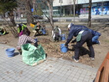 0406花壇ボランティア
