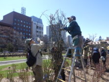 0408バラボランティア