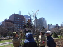 0408バラボランティア