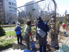 0408バラボランティア