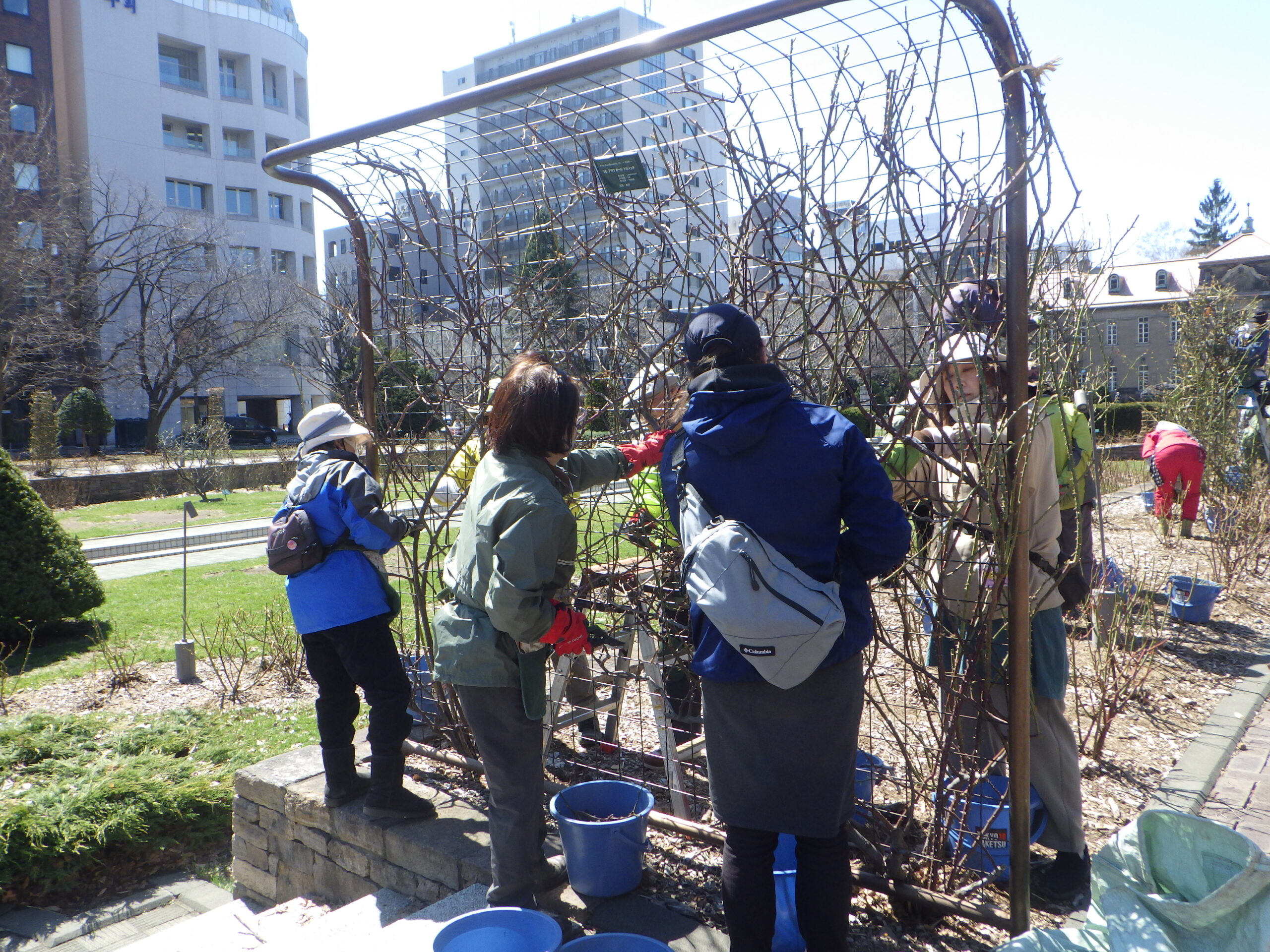 0408バラボランティア