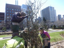 0408バラボランティア