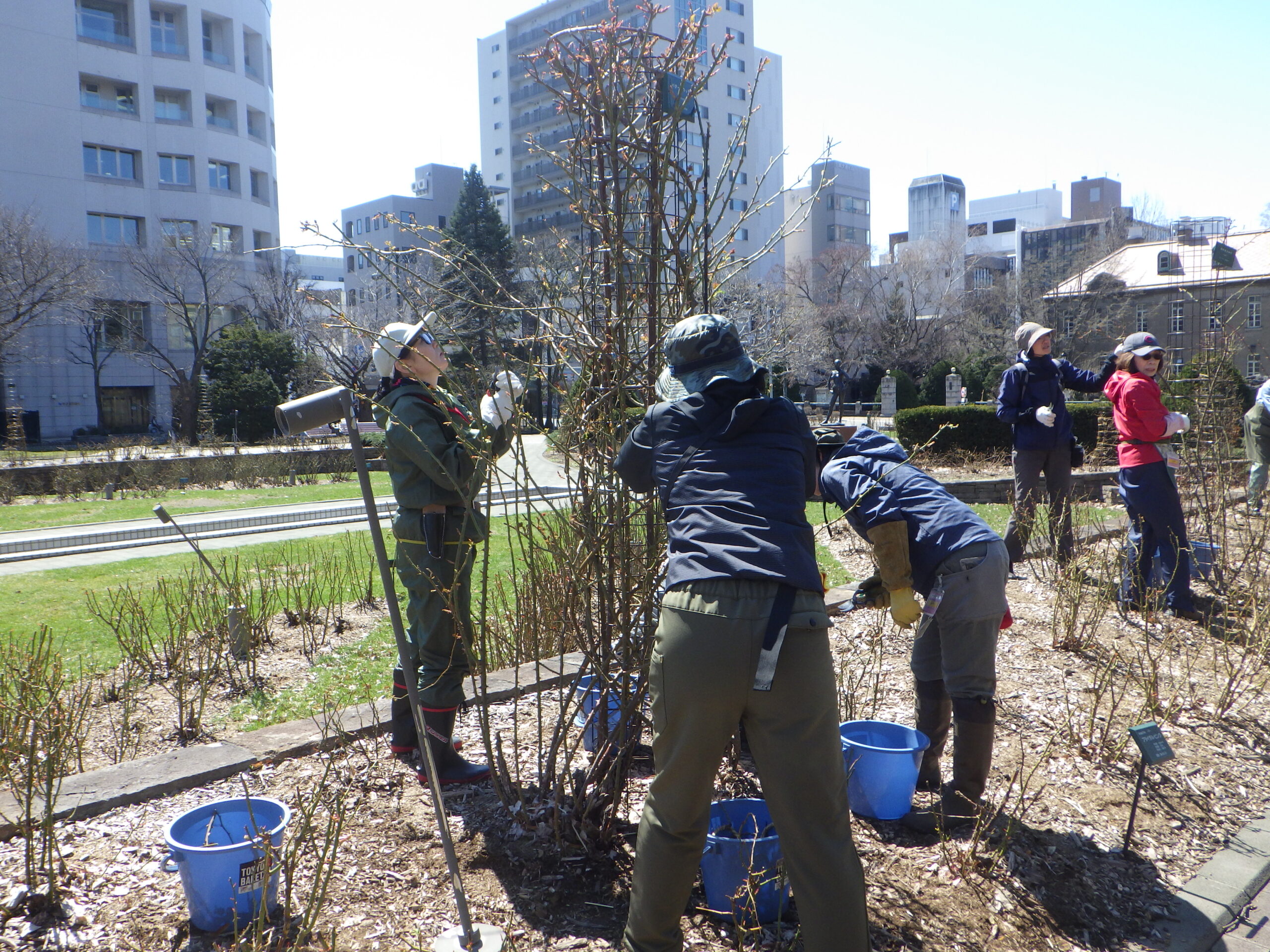 0408バラボランティア