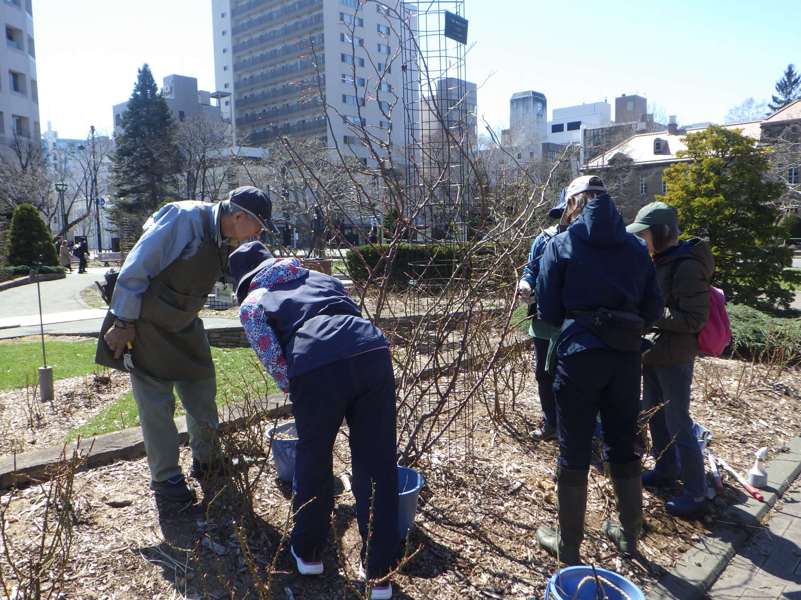 0408バラボランティア