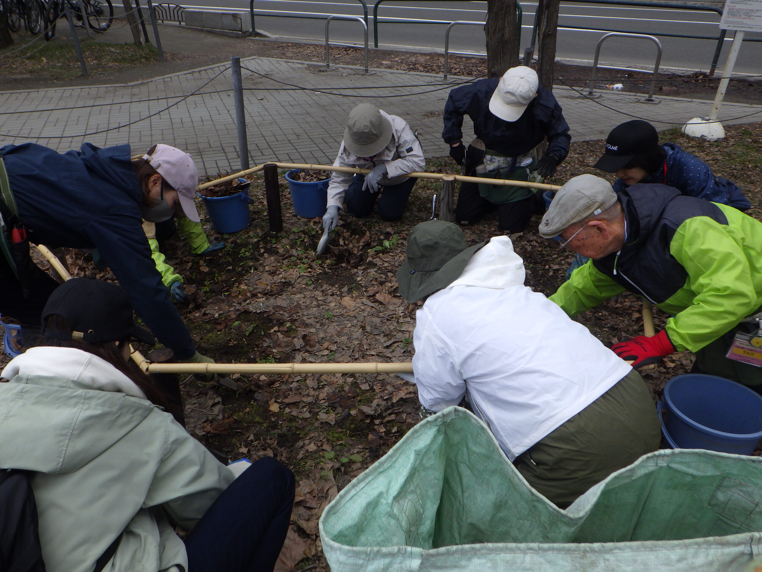 0413西5丁目森の花壇