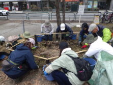 0413西5丁目森の花壇