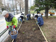 0413西5丁目森の花壇