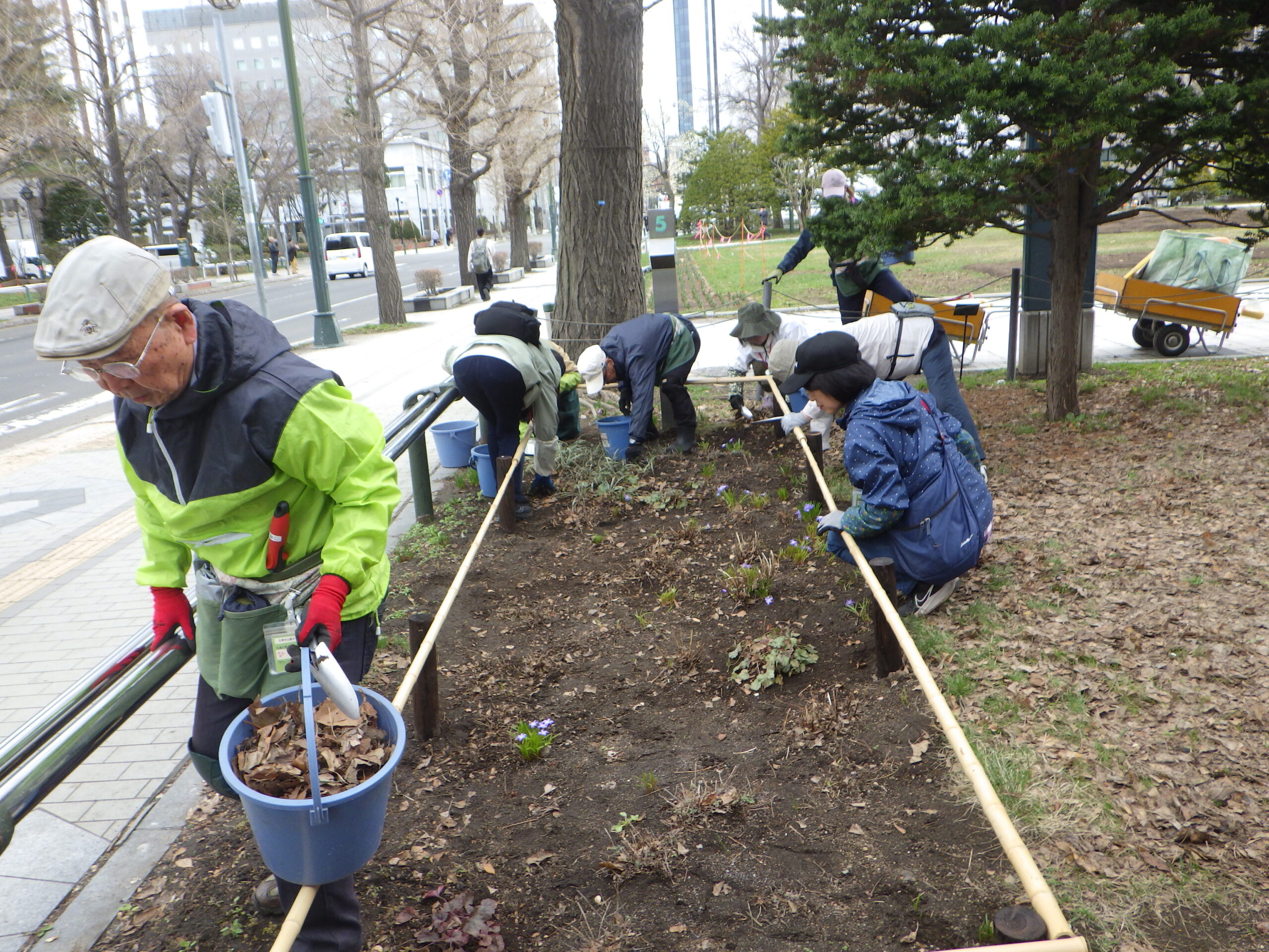 0413西5丁目森の花壇