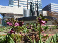 西3丁目泉の像花壇