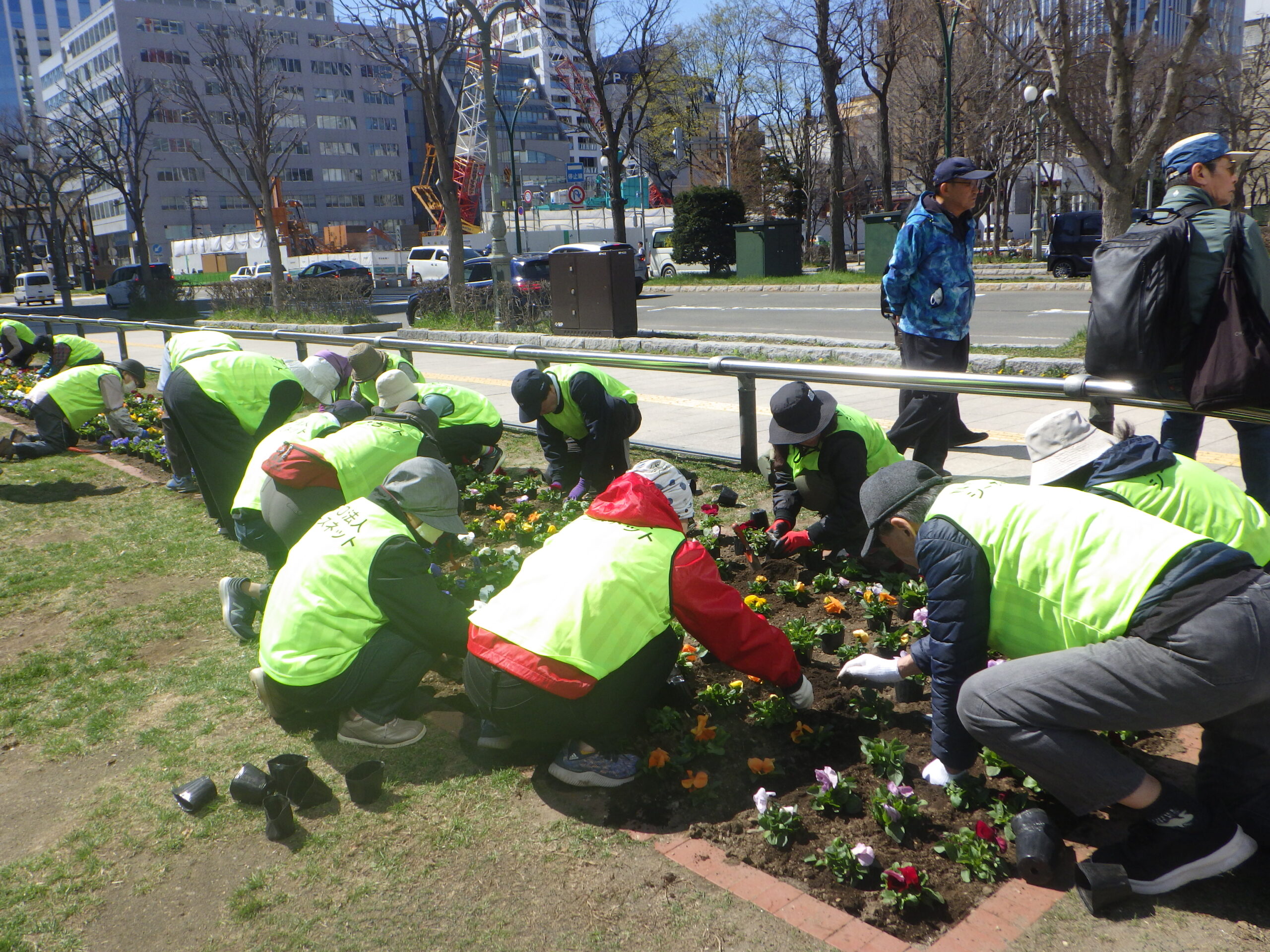 0416春花壇植え込み