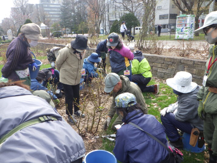 0417バラボランティア