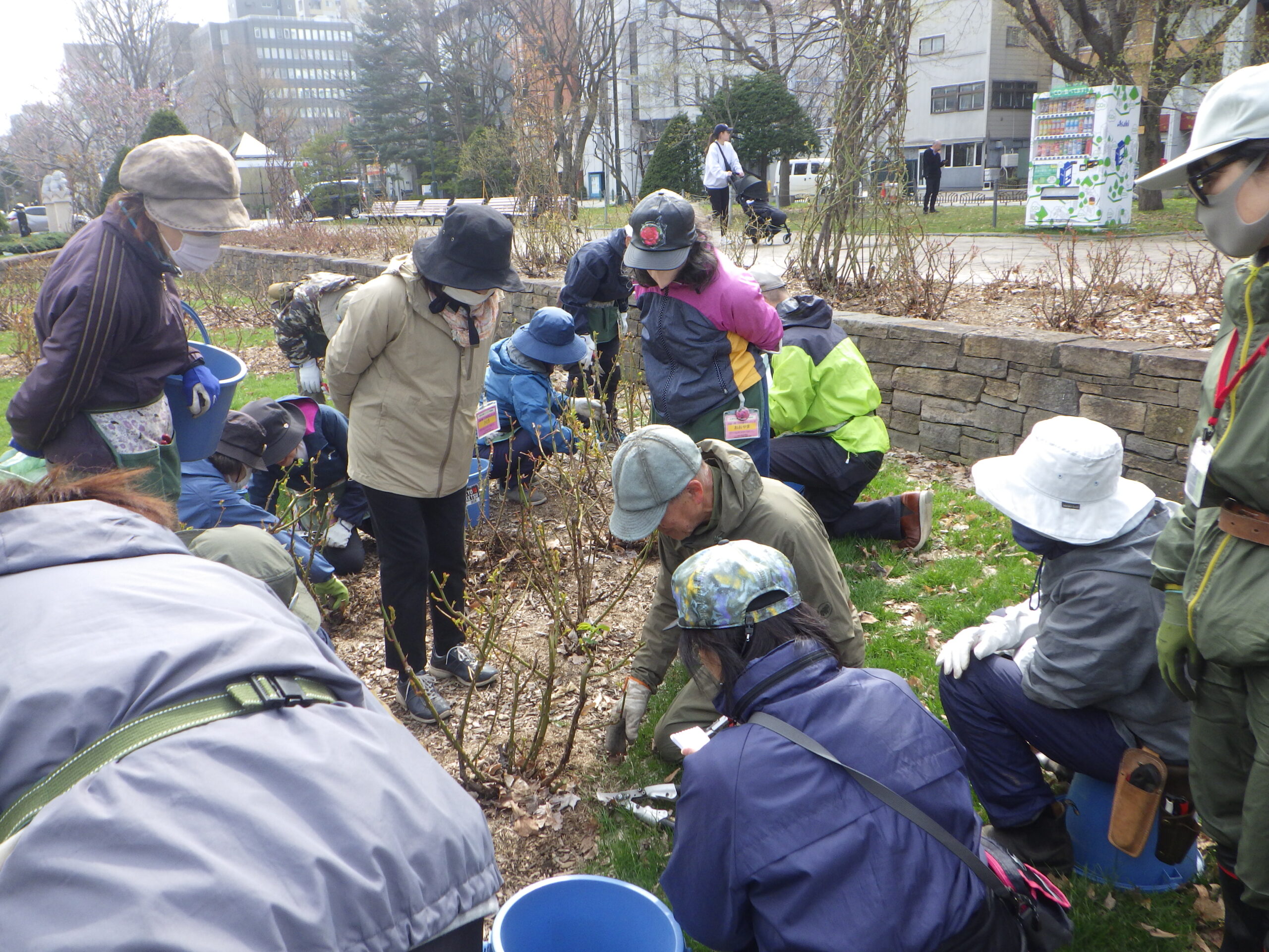 0417バラボランティア