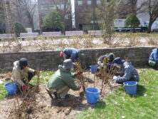 0417バラボランティア