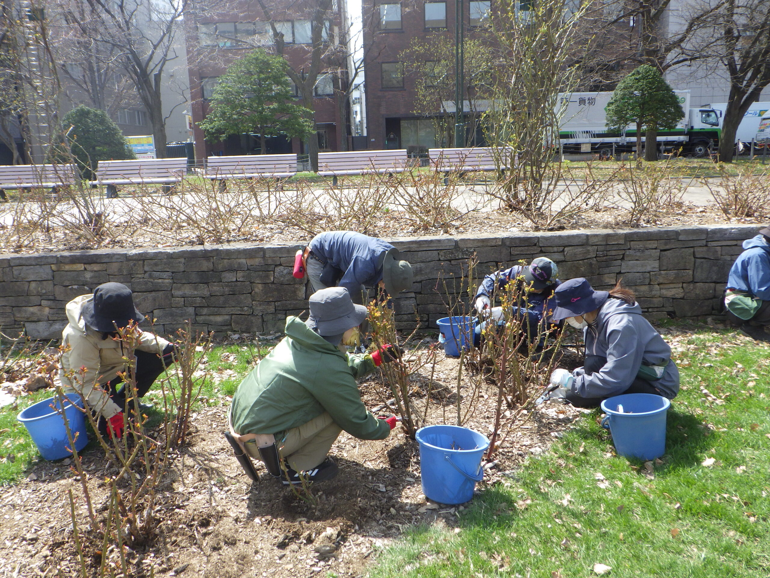 0417バラボランティア
