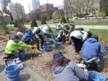 0417バラボランティア