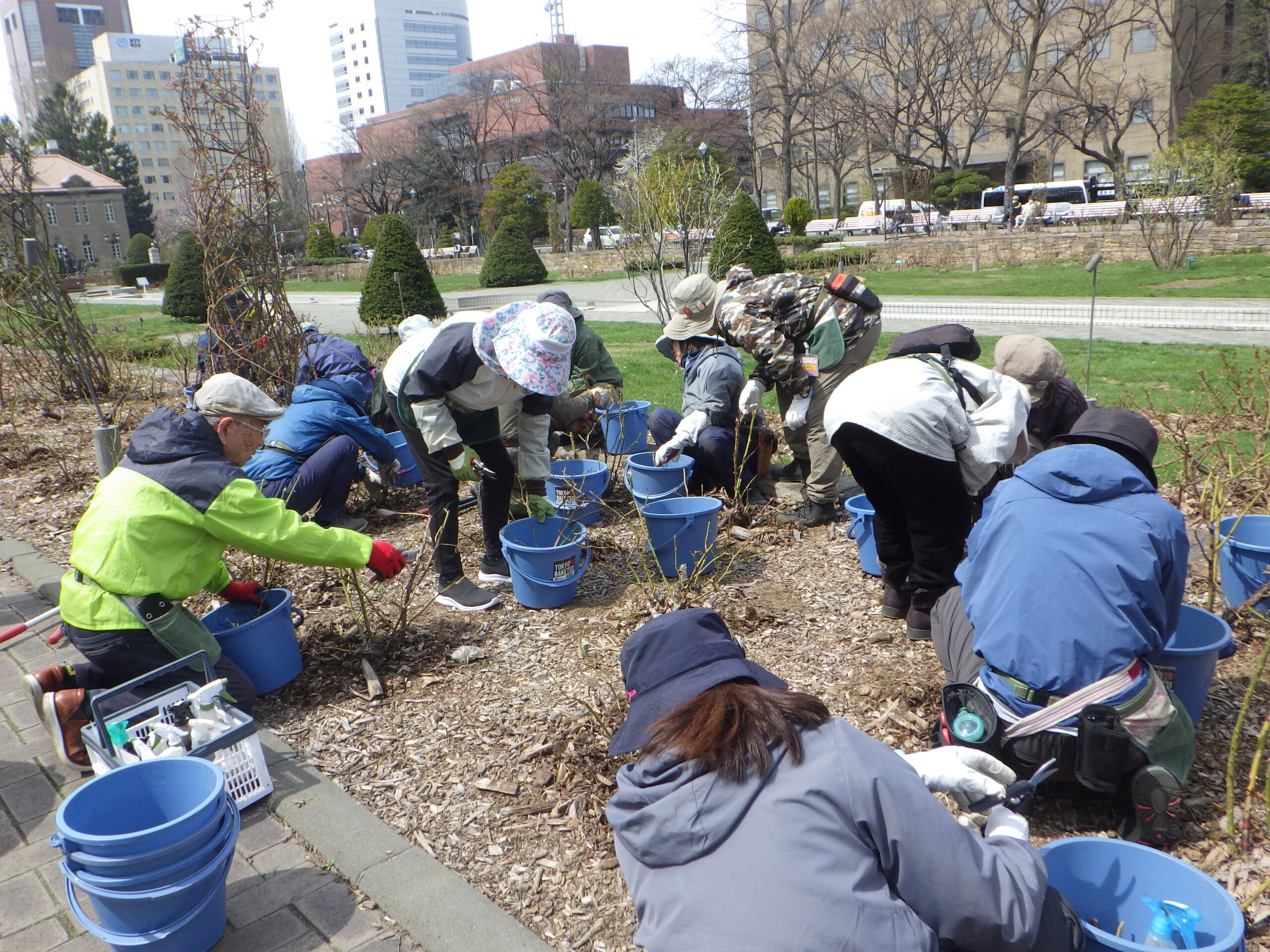 0417バラボランティア