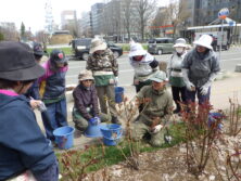 0417バラボランティア