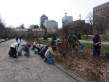 0417バラボランティア